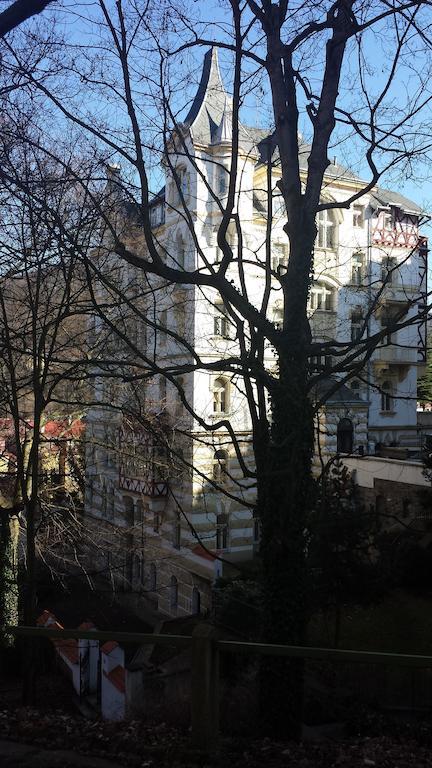 Villa Sofia Apartments Karlovy Vary Esterno foto